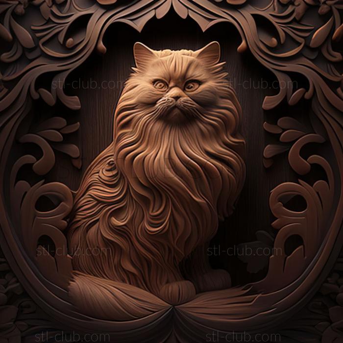 st Oriental Longhair cat